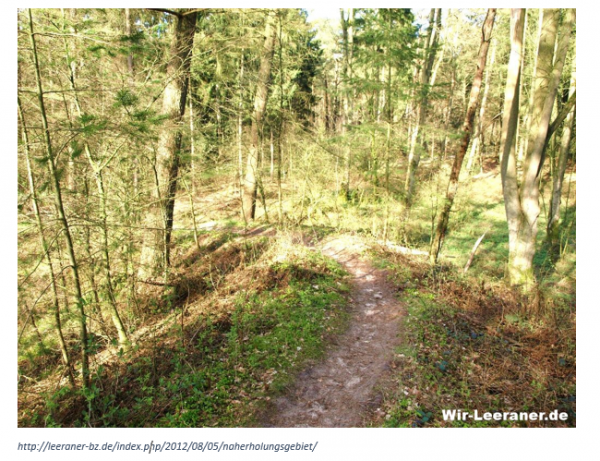 Erlebniswanderung durch den Heseler Wald